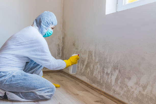 Licensed Commercial Mold Remediation service in Surry, VA - WQB Mold Removal