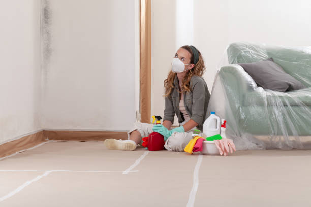 Reliable Commercial Mold Remediation contractor in Surry, VA by WQB Mold Removal